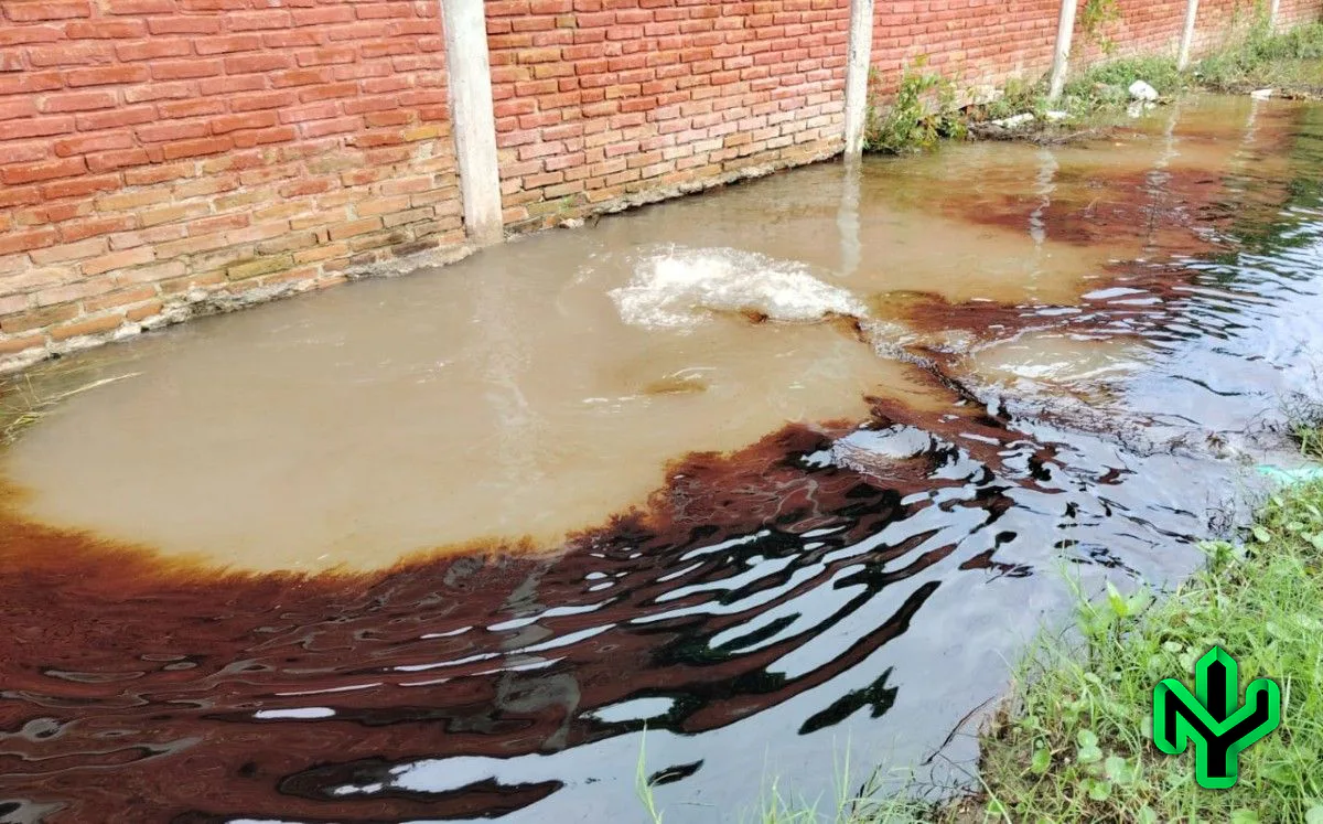 Tercer derrame en un mes: cientos de pescadores ya no pueden trabajar en el Pánuco
